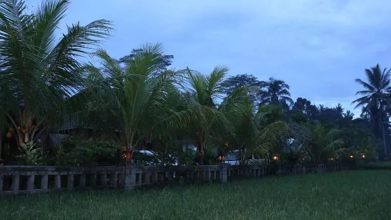 Fotos del hotel Villa Jj And Spa Ubud:  20