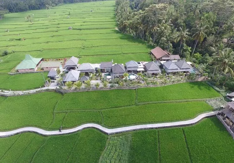 Fotos del hotel Villa Jj And Spa Ubud:  15