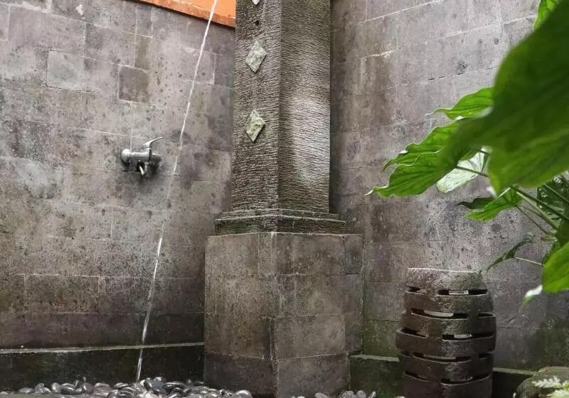 Fotos del hotel Villa Jj And Spa Ubud:  10