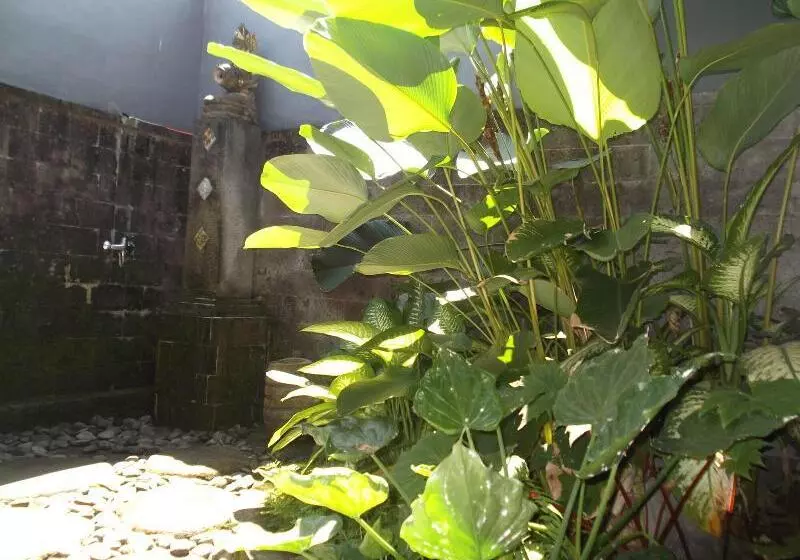 Fotos del hotel Villa Jj And Spa Ubud:  12