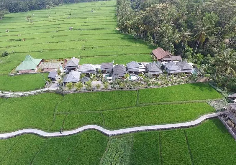 Fotos del hotel Villa Jj And Spa Ubud:  11