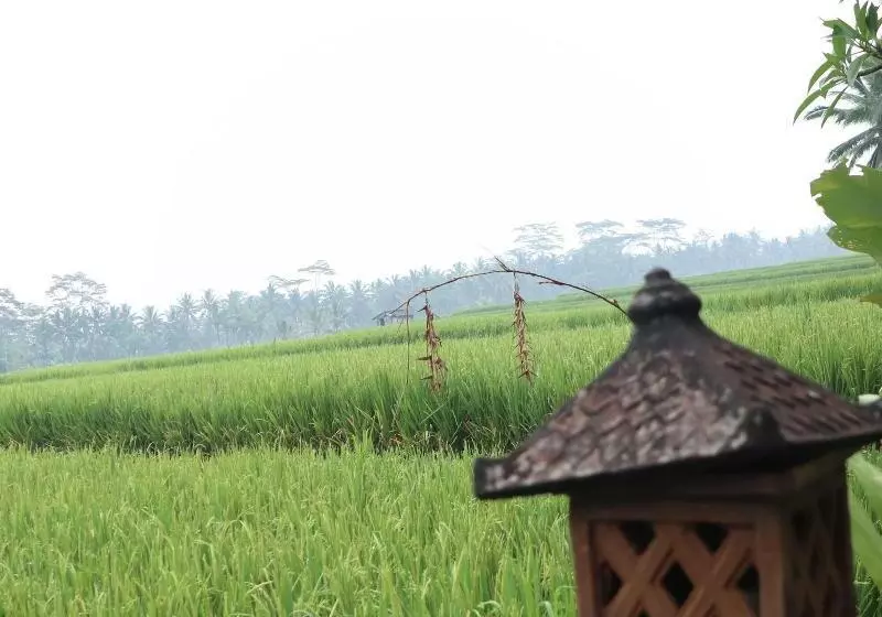 Fotos del hotel Villa Jj And Spa Ubud:  8