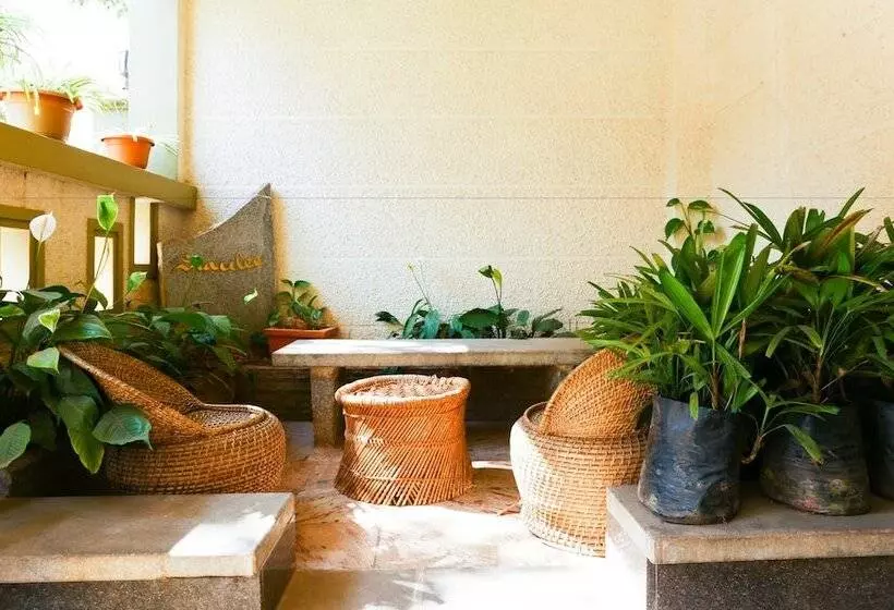 Fotos del hotel Cynosure Suites:  4