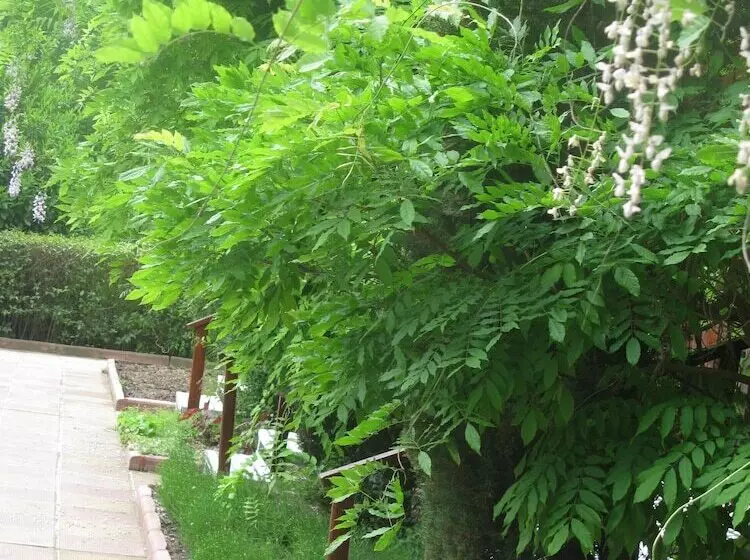 Fotos del hotel Estreya Palace & Residence:  24