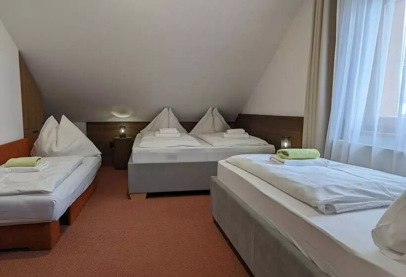 Fotos del hotel Penzion Maria:  18