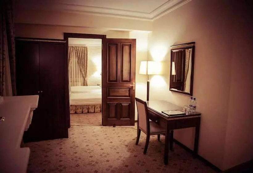 Fotos del hotel Samir:  19