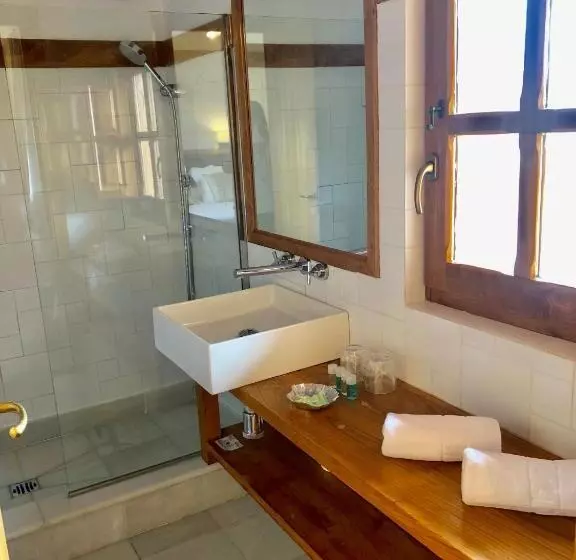 Fotos del hotel Palacio De Arce:  11