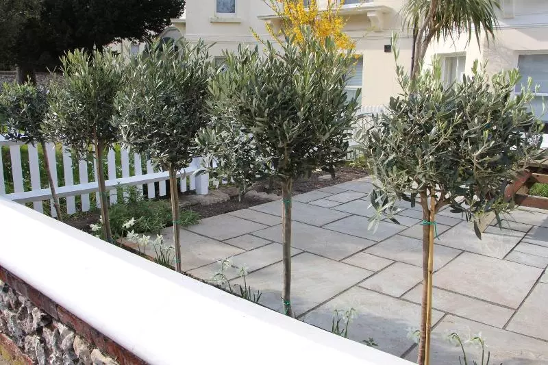 Fotos del hotel Ravilious:  4