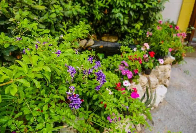 Fotos del hotel Al Giardino Dell'alloro:  6