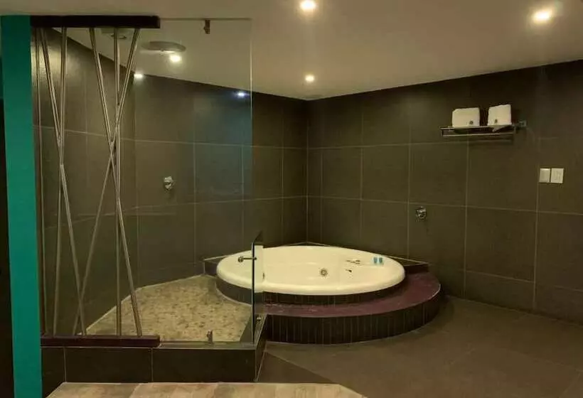 Fotos del hotel Tacubaya:  22