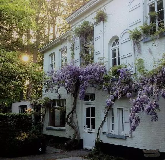 Fotos del hotel B&b 't Wit Huys Brugge:  10
