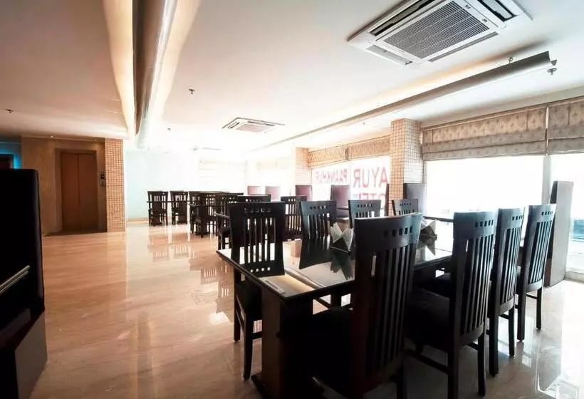 Fotos del hotel Mayur:  13