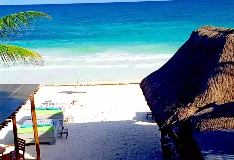 Fotos del hotel Playa Canek Beachfront Eco:  7