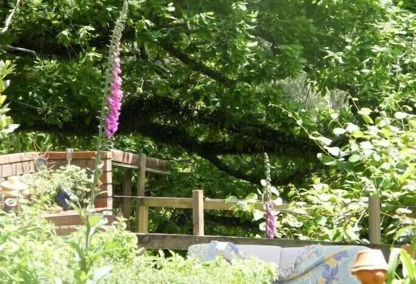 Fotos del hotel Foxgloves Bed And Breakfast:  5