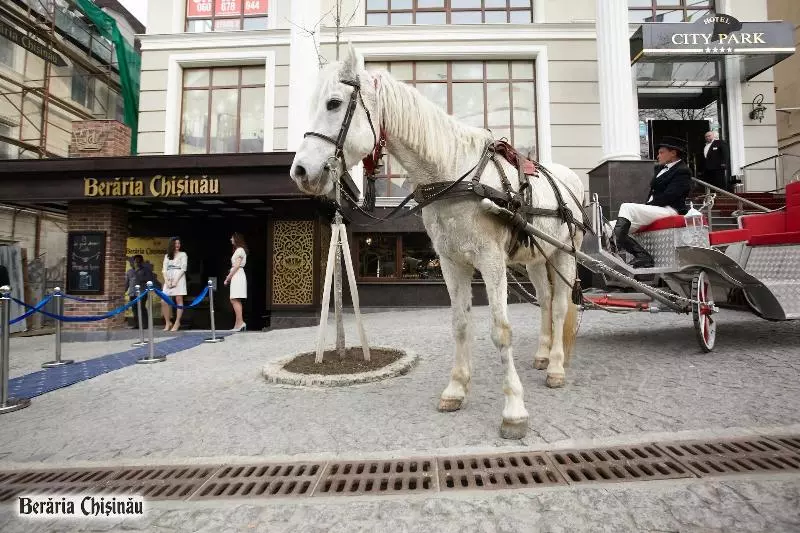 Fotos del hotel City Park:  22