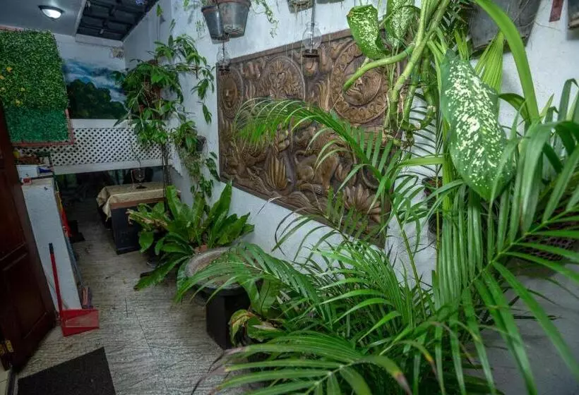 Fotos del hotel Vista Fort Thari Inn:  2
