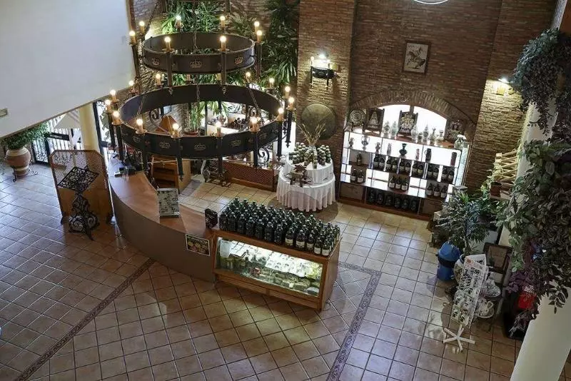 Fotos del hotel Alfonso Viii:  7