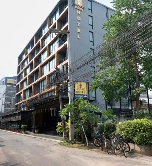 Sanae   Chiang Mai