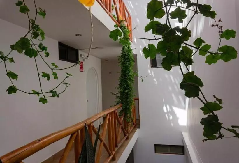 Fotos del hotel El Gamonal:  9