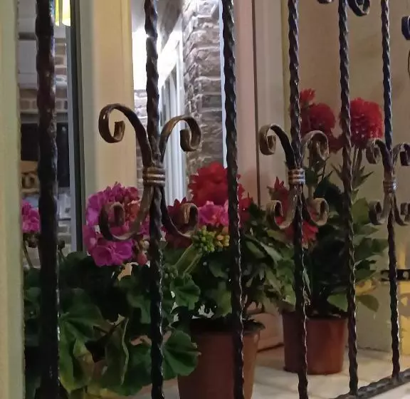 Fotos del hotel Family Istanbul:  13