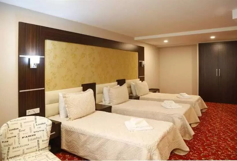 Fotos del hotel Grand Temel:  24