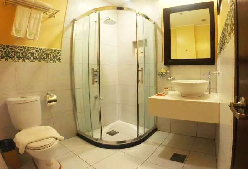 Fotos del hotel Palm Grass:  16
