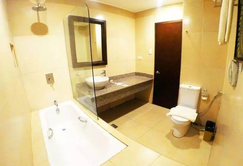 Fotos del hotel Palm Grass:  19