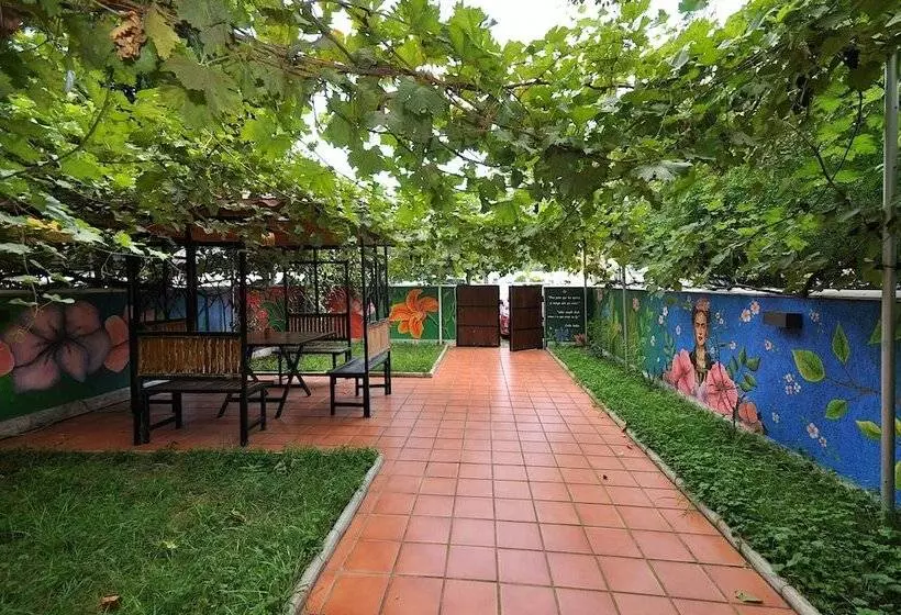 Fotos del hotel Frida:  11