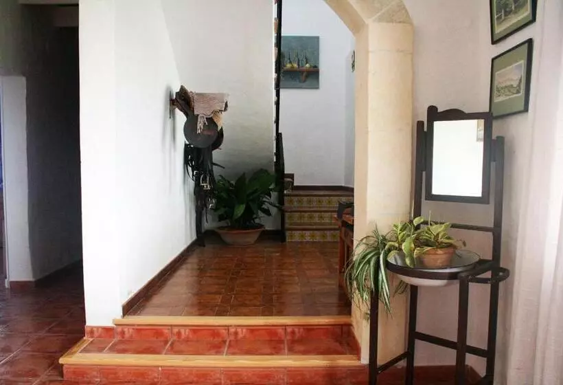 Fotos del hotel Agroturismo Biniai Nou:  7