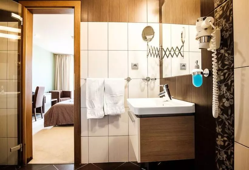 Fotos del hotel Comfort With Free Wellness And Fitness Centrum:  14