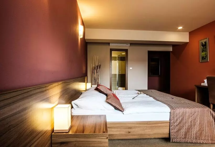 Fotos del hotel Comfort With Free Wellness And Fitness Centrum:  2