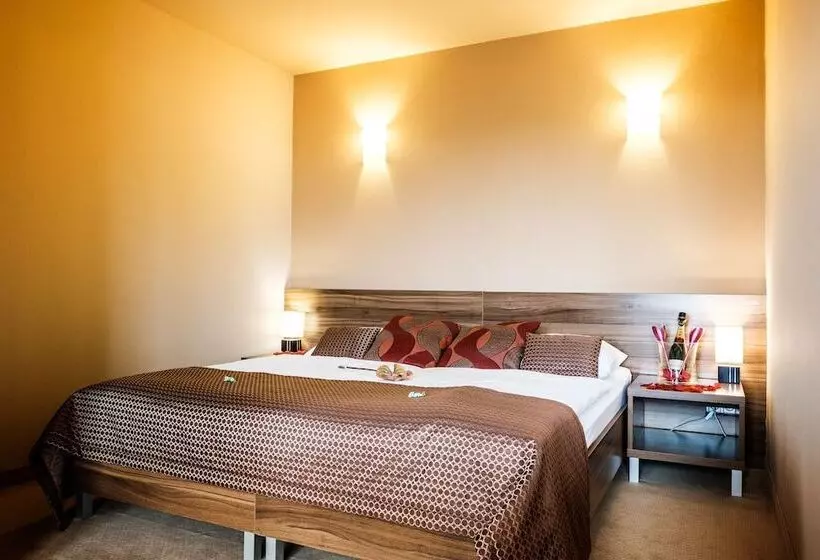 Fotos del hotel Comfort With Free Wellness And Fitness Centrum:  15