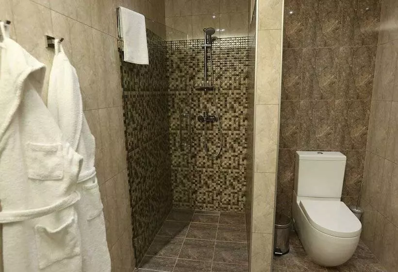 Fotos del hotel Avan Plaza:  20