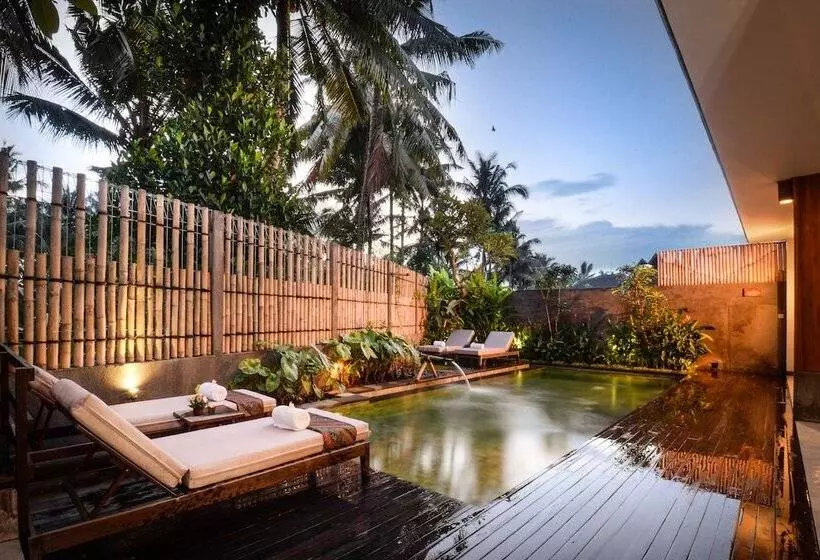 Fotos del hotel Purana Boutique Resort:  7