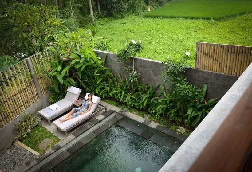 Fotos del hotel Purana Boutique Resort:  4