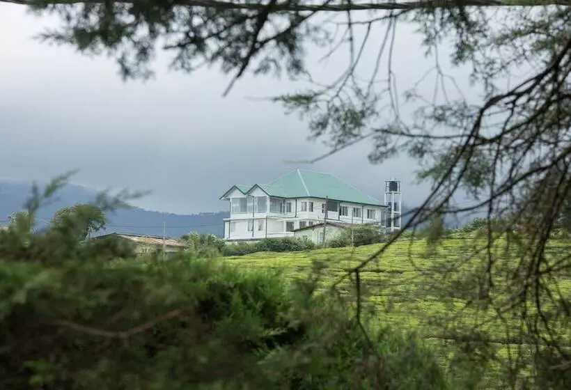 Fotos del hotel Grand Camellia:  11