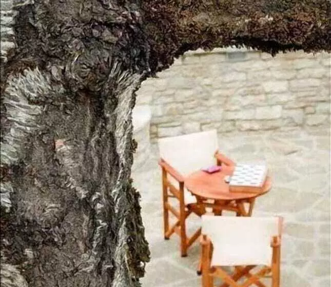Gaia Guesthouse