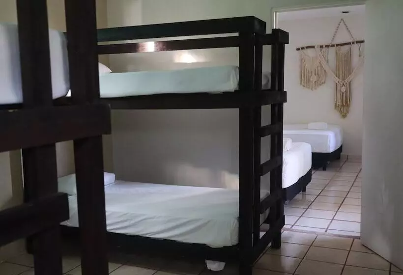 Fotos del hotel Las Tres Palmas:  11
