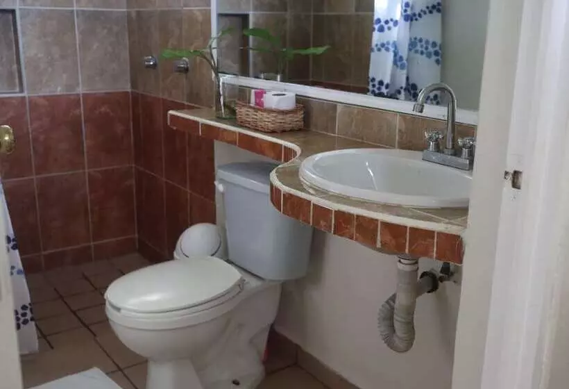 Fotos del hotel Las Tres Palmas:  13