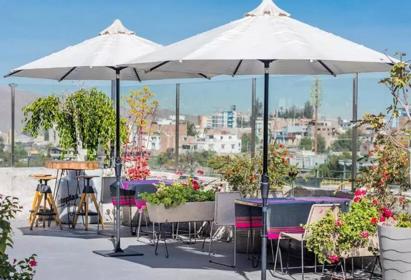 Fotos del hotel Palla Boutique:  10