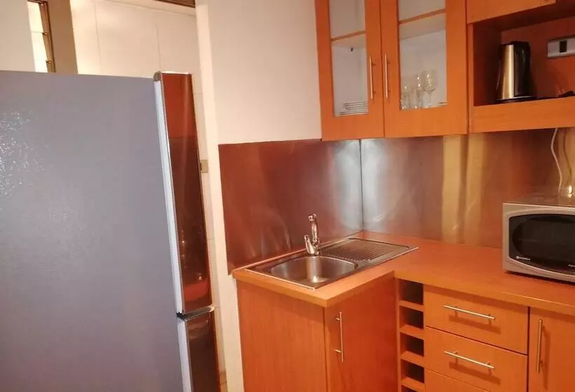 Fotos del hotel Andes Suites:  4