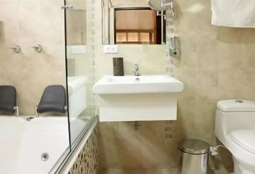 Fotos del hotel Boutique Casa Suiza:  6