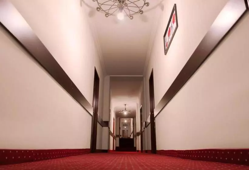 Fotos del hotel Margo Palace:  3