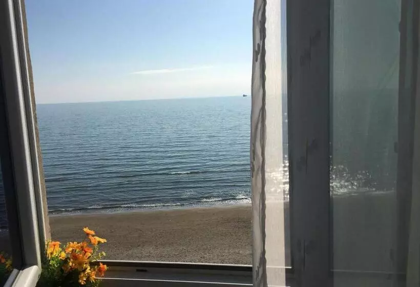 Fotos del hotel Kamomil:  7