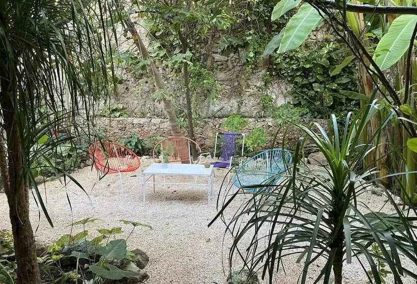 Fotos del hotel La Piazzetta:  13