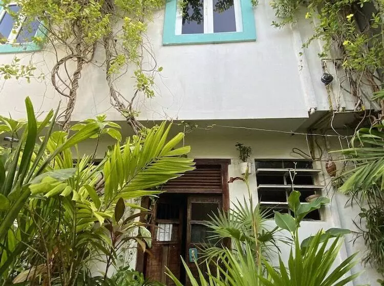 Fotos del hotel La Piazzetta:  7
