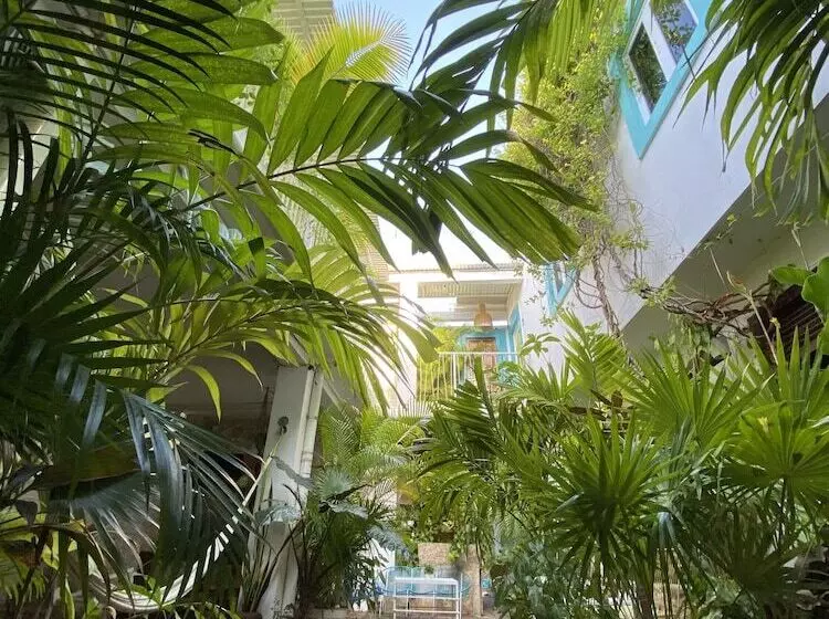 Fotos del hotel La Piazzetta:  12