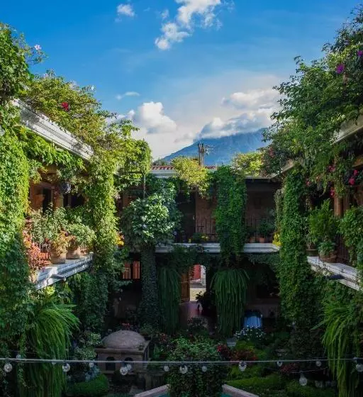 Fotos del hotel Genessis:  11