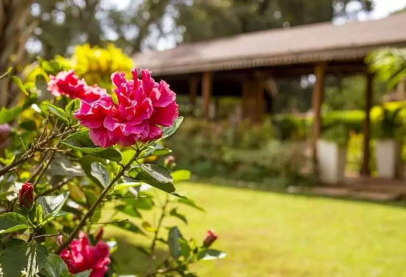 Fotos del hotel Villa Kololo:  7