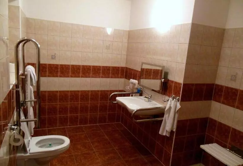 Fotos del hotel Palác:  19